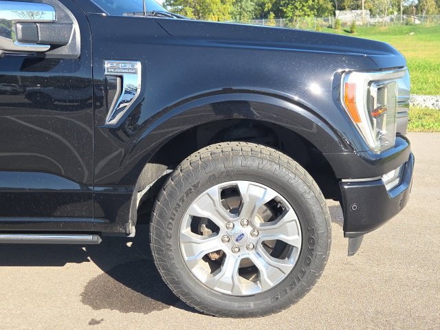 Used 2021 Ford F150 Platinum w/ Equipment Group 701A High AWD/4WD image 3
