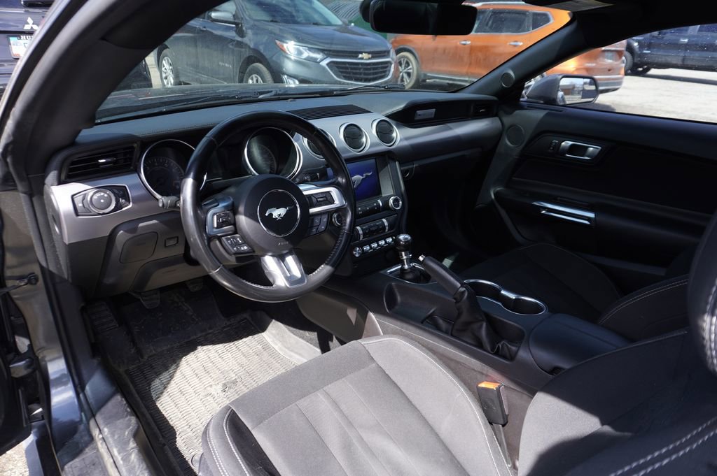 Used 2019 Ford Mustang GT w/ Equipment Group 301A image 4