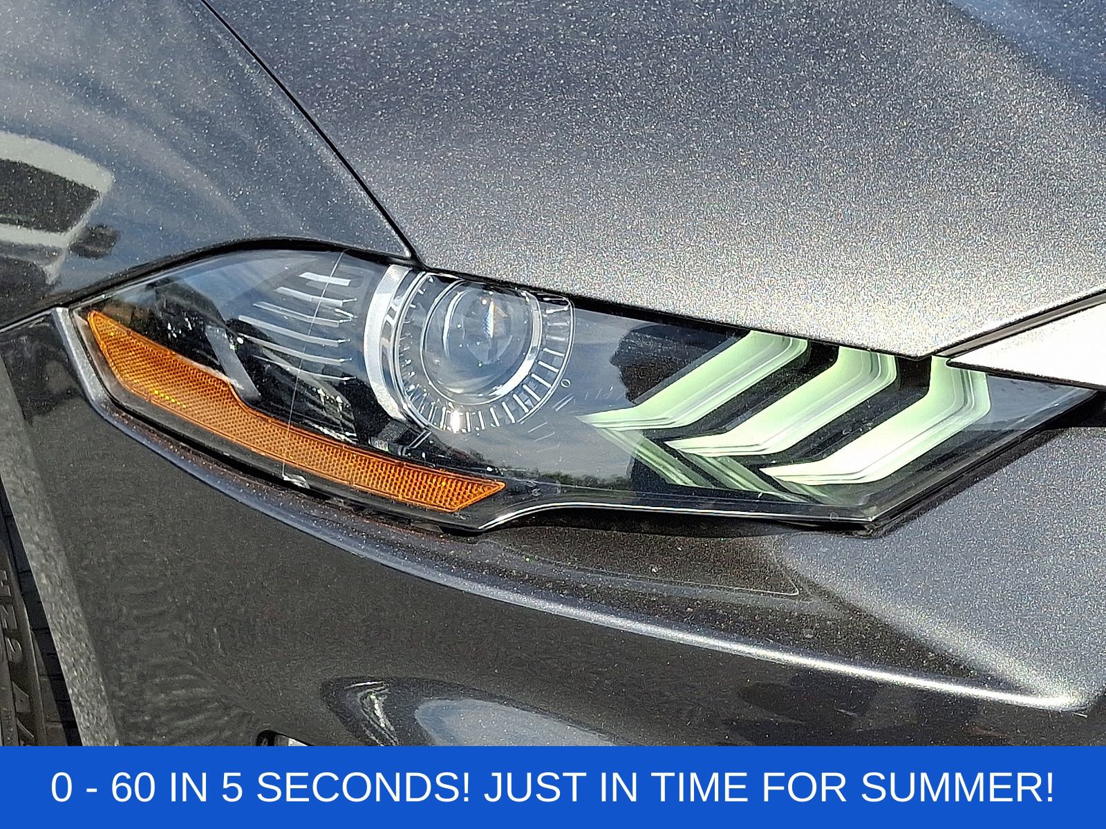 Used 2019 Ford Mustang Coupe w/ Ecoboost Performance Package image 10