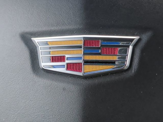 Used 2019 Cadillac Escalade ESV Platinum image 5