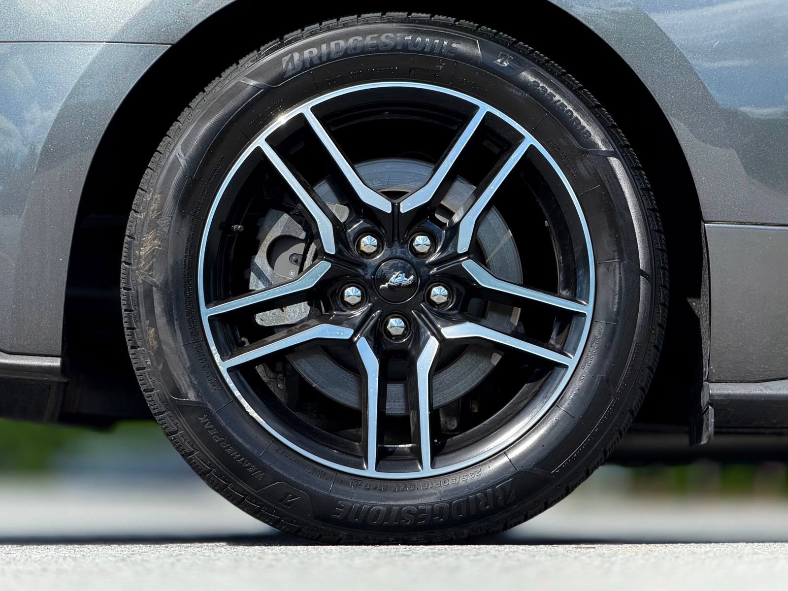 Used 2019 Ford Mustang GT w/ Equipment Group 301A RWD image 21