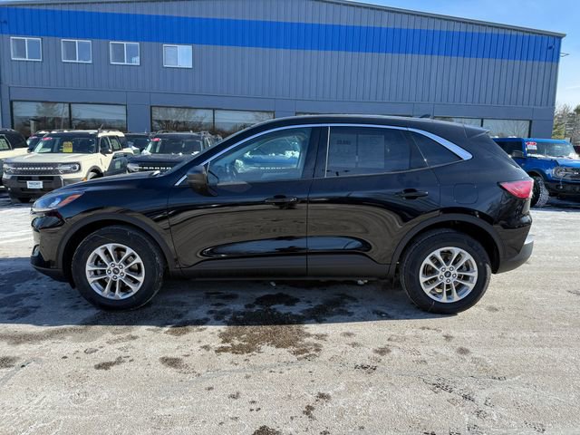 Used 2022 Ford Escape SE w/ Convenience Package image 2
