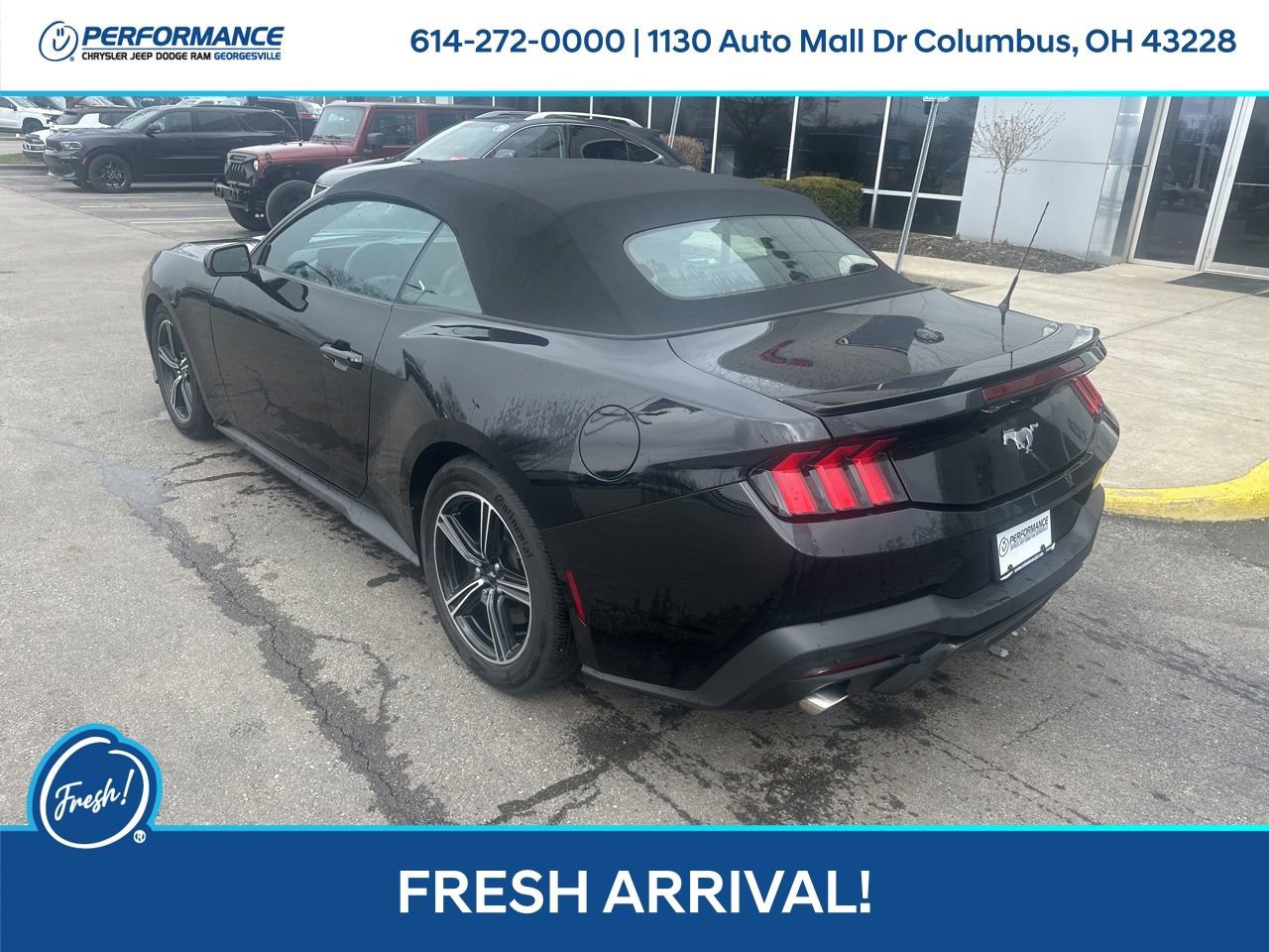 Used 2024 Ford Mustang Premium image 6