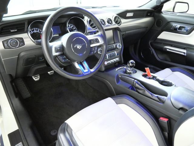 Used 2015 Ford Mustang 50 Years image 4