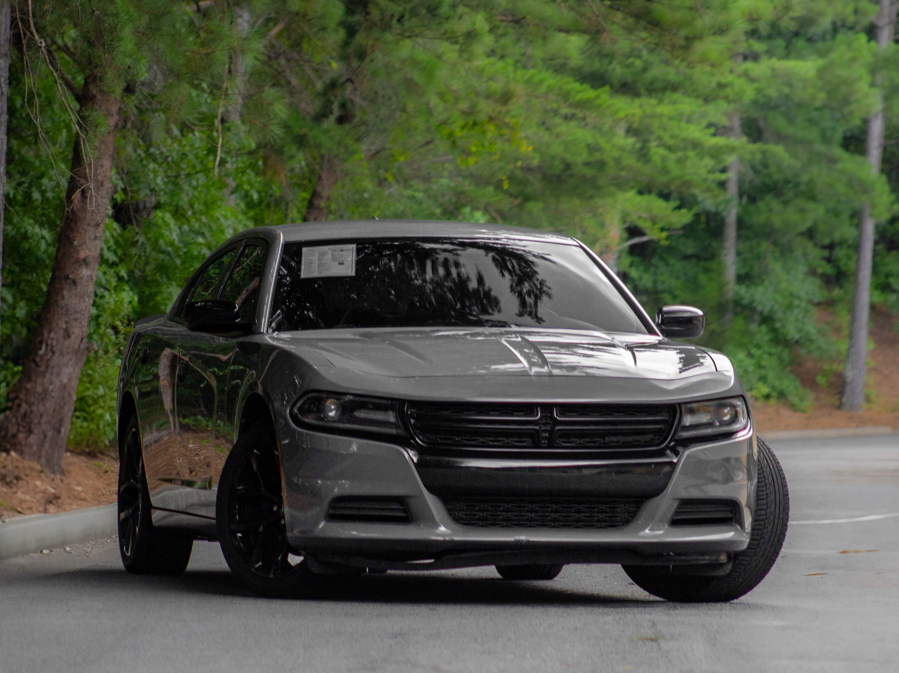 Used 2019 Dodge Charger SXT image 1