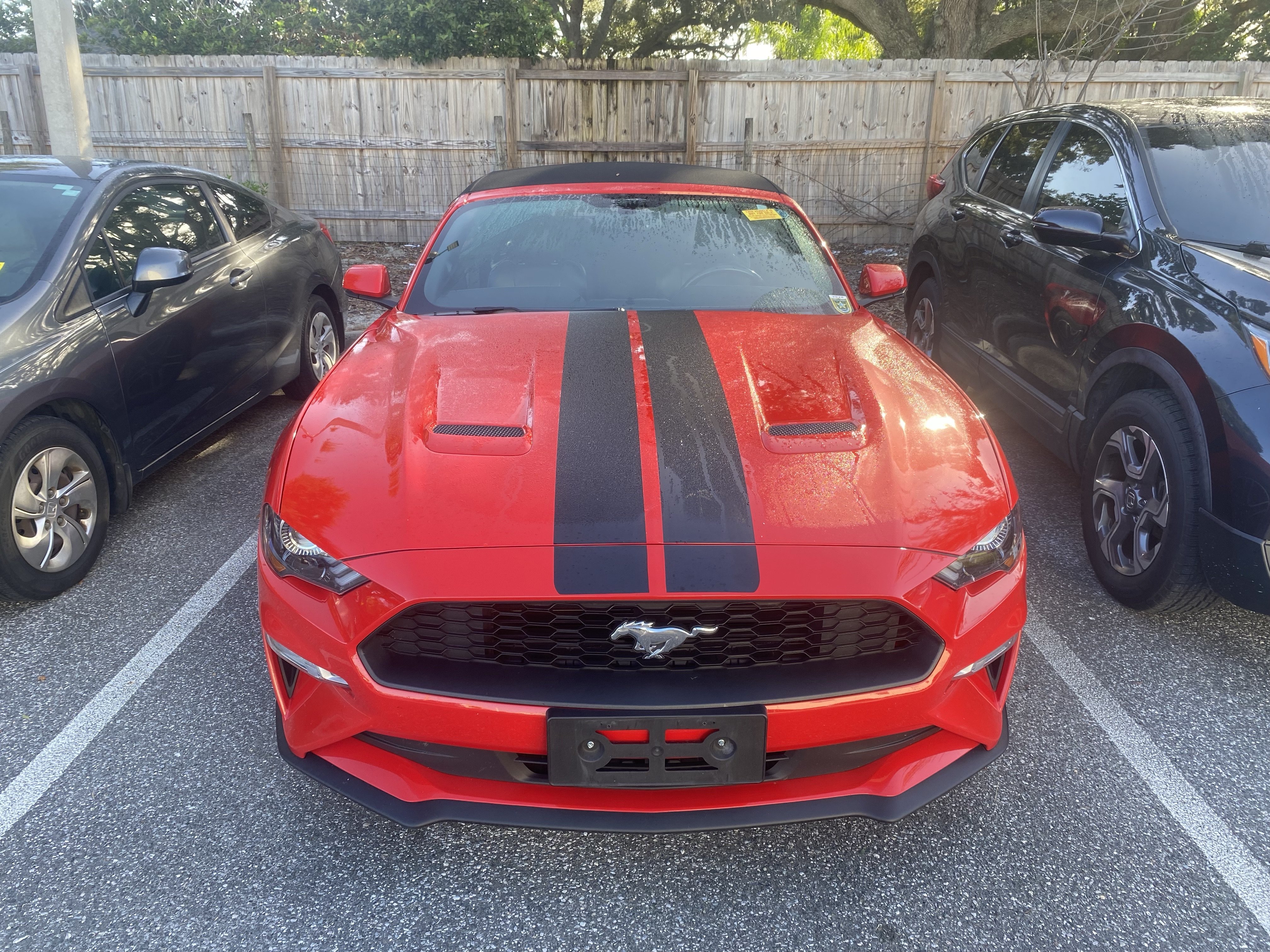 Used 2018 Ford Mustang Premium w/ Equipment Group 201A RWD image 14