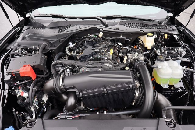 New 2025 Ford Mustang Premium image 34