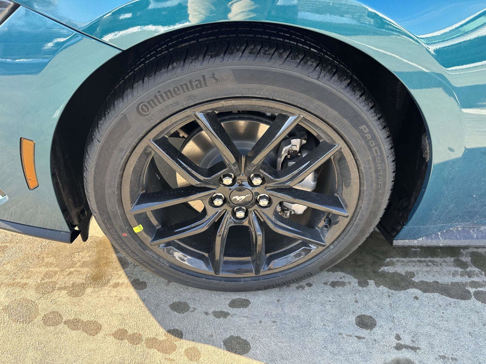 New 2026 Ford Mustang Coupe image 6