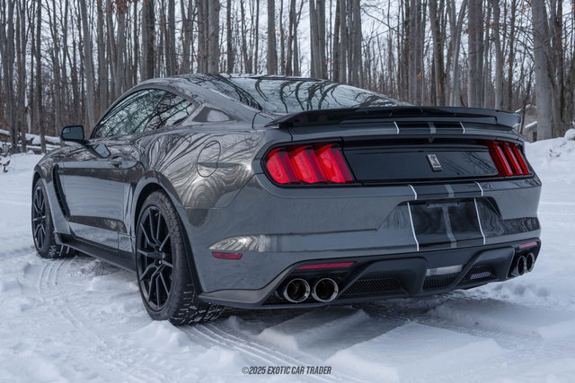 Used 2015 Ford Mustang Shelby GT350 RWD image 6