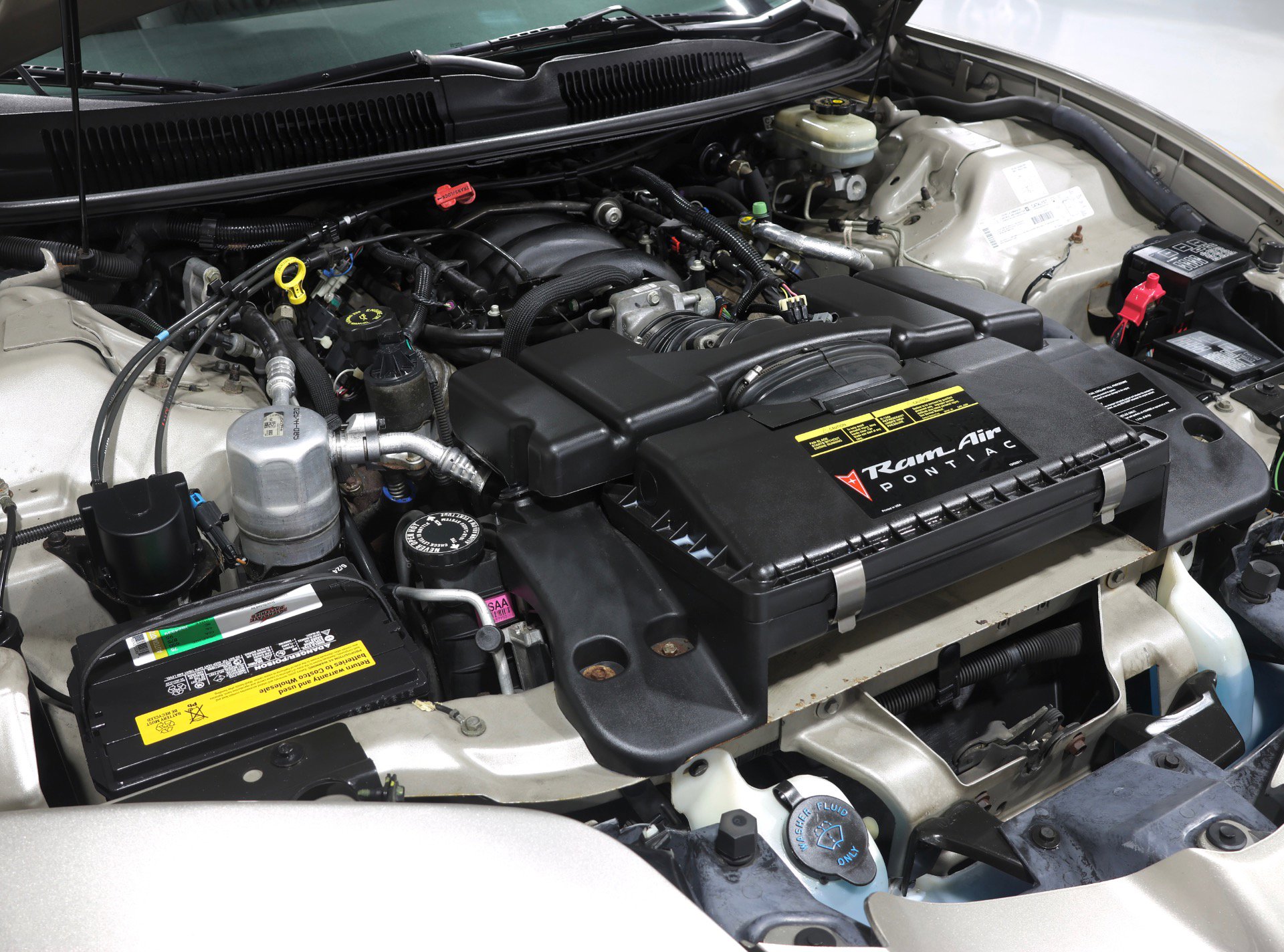 Used 2000 Pontiac Firebird Formula RWD image 5