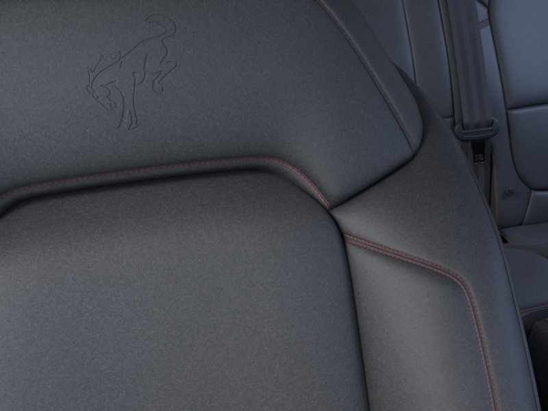 New 2026 Ford Bronco Stroppe Edition image 18