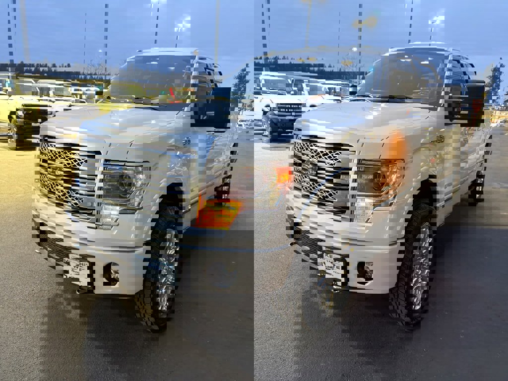 Used 2013 Ford F150 Platinum image 3