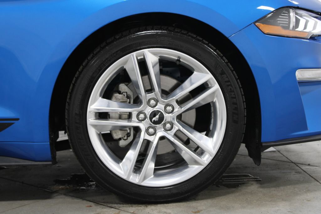 Used 2019 Ford Mustang Premium w/ Pony Package image 12