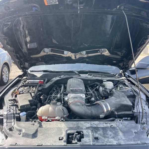 Used 2022 Ford Mustang GT Premium w/ Equipment Group 401A RWD image 19