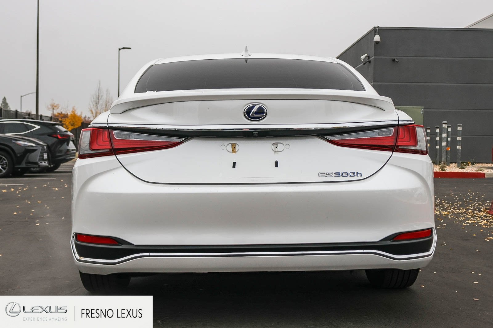 Used 2019 Lexus ES 300h image 5
