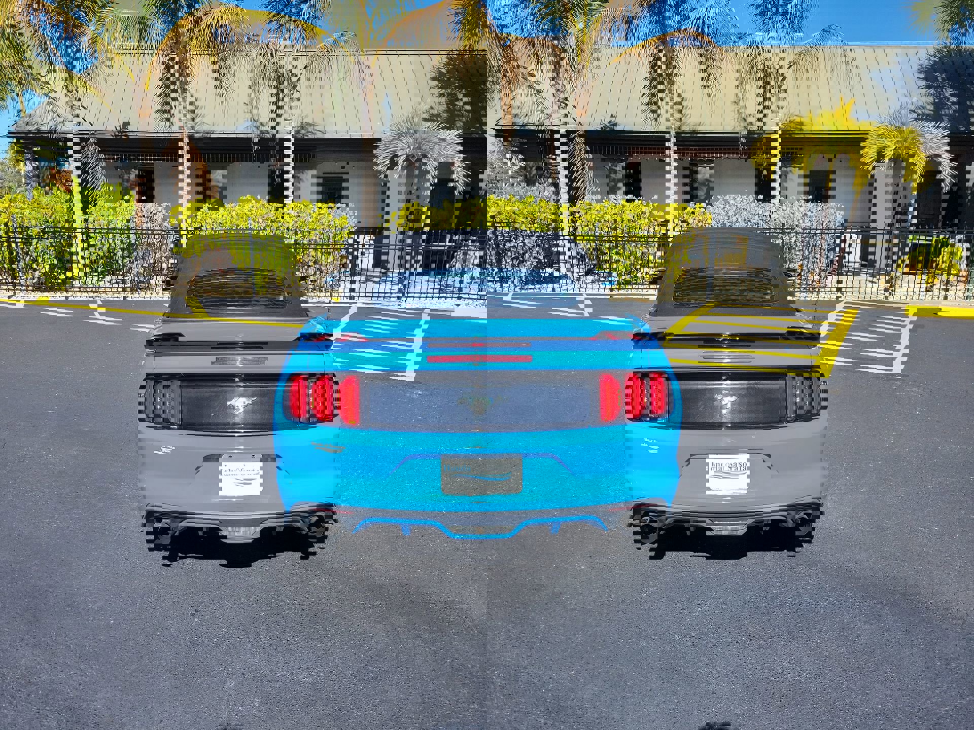 Used 2017 Ford Mustang Premium image 7