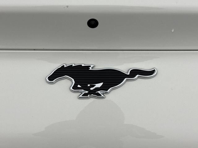 Used 2025 Ford Mustang Mach-E Premium w/ Sport Appearance Package AWD/4WD image 18