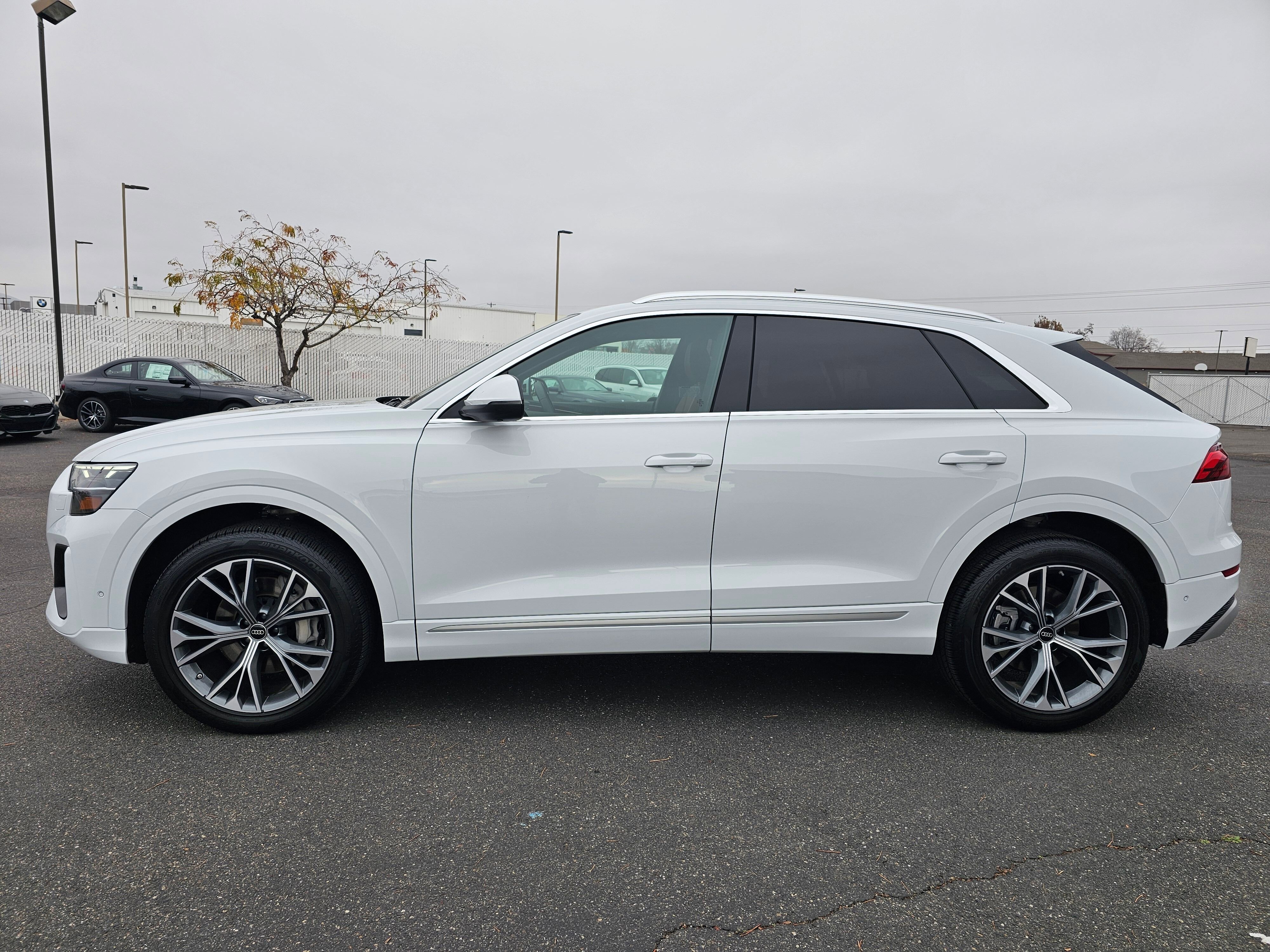 Certified 2025 Audi Q8 Premium Plus w/ Premium Plus Package image 4