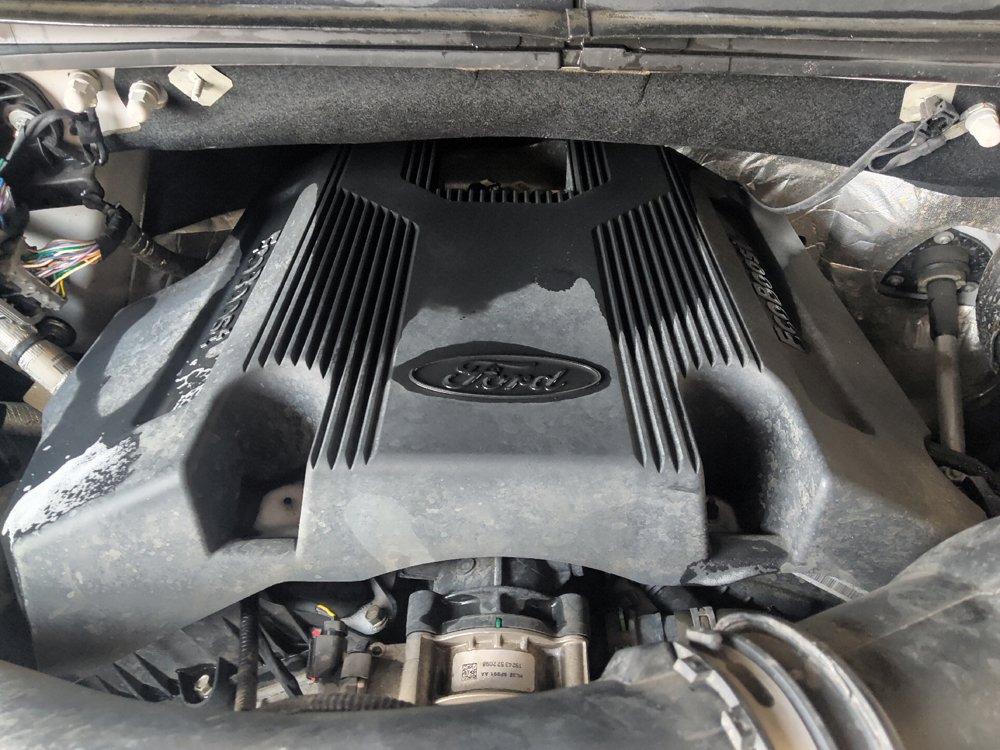 Used 2019 Ford F150 XLT w/ Equipment Group 302A Luxury AWD/4WD image 30