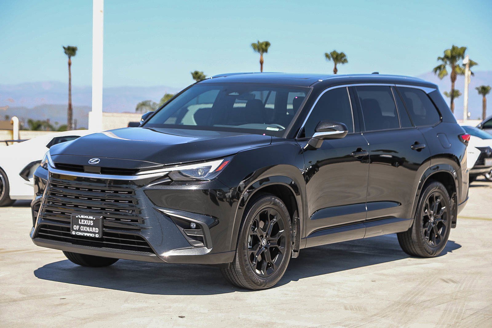 Used 2024 Lexus TX 350 AWD w/ Cold Weather Package image 3