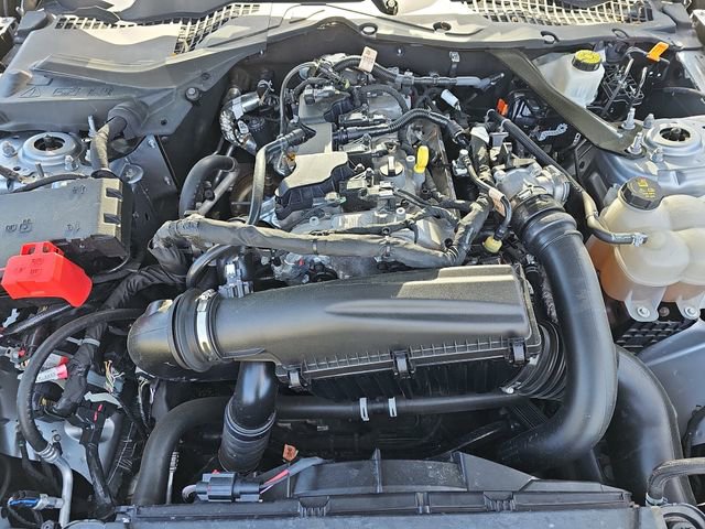 Used 2024 Ford Mustang Premium image 31