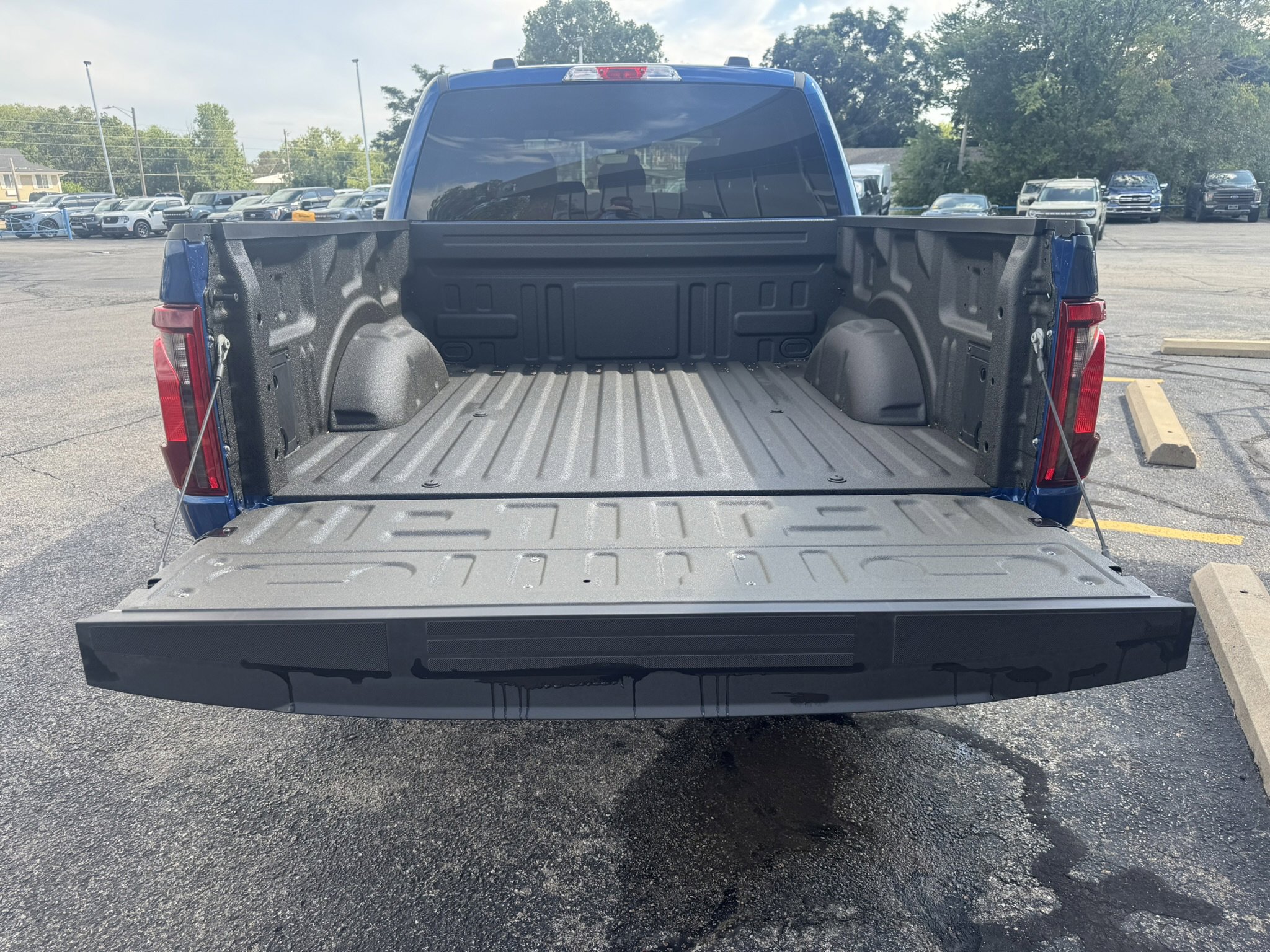 New 2025 Ford F150 STX image 5