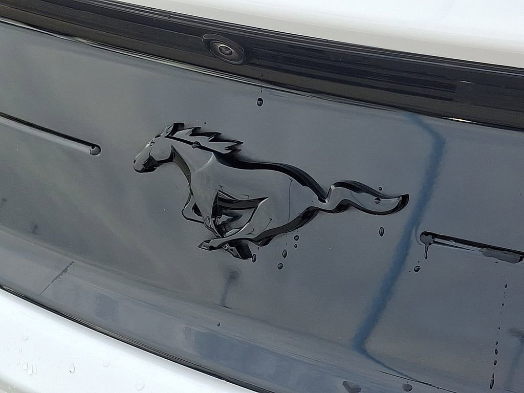 Used 2023 Ford Mustang EcoBoost w/ Mustang Nite Pony Package image 29