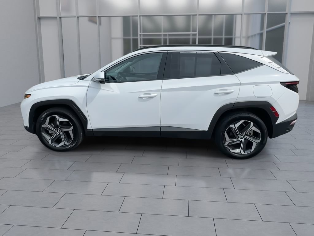 Used 2024 Hyundai Tucson Limited AWD/4WD image 5