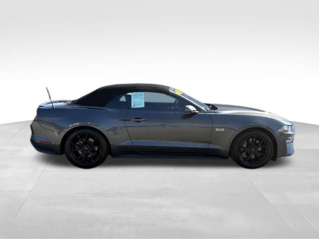 Used 2019 Ford Mustang GT Premium w/ Equipment Group 401A RWD image 9