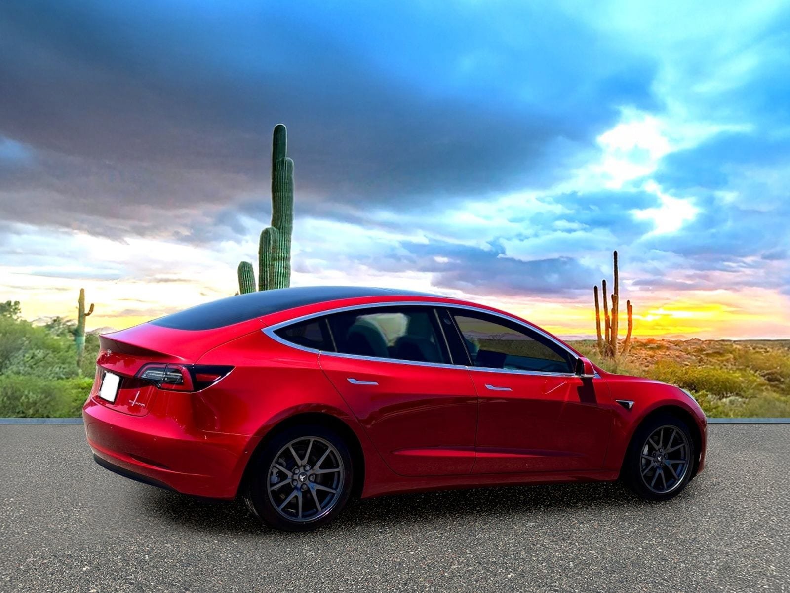 Used 2019 Tesla Model 3 Long Range AWD/4WD image 5
