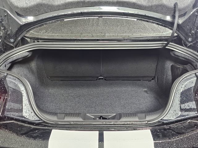 New 2025 Ford Mustang Premium image 15