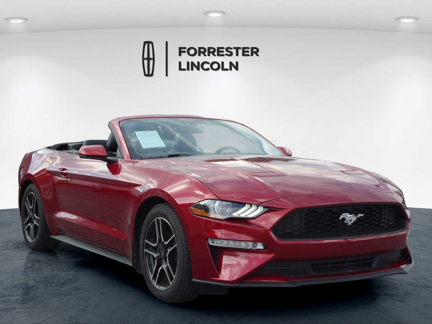 Used 2019 Ford Mustang Premium w/ Equipment Group 201A