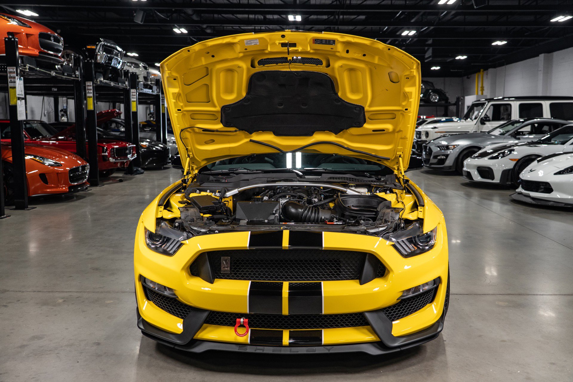 Used 2016 Ford Mustang Shelby GT350 w/ Track Package image 35