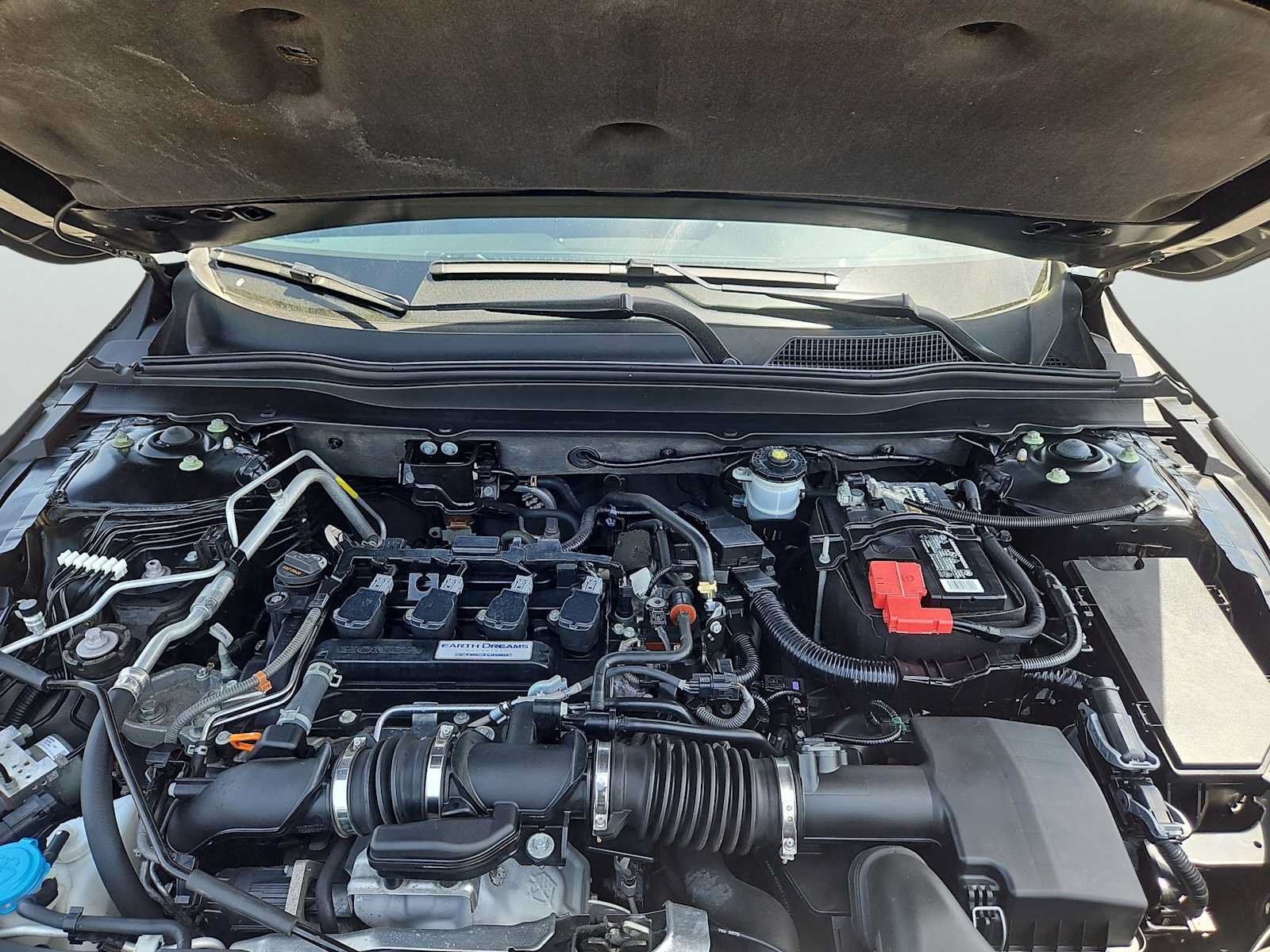Certified 2019 Honda Accord EX image 29