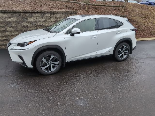 Used 2019 Lexus NX 300h AWD w/ Premium Package image 5