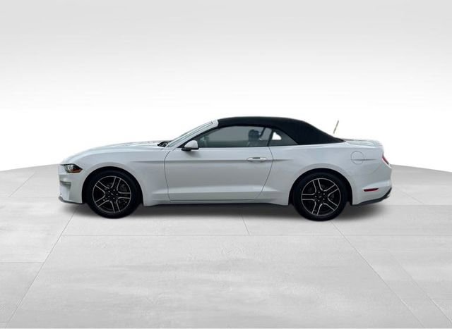Used 2021 Ford Mustang Premium image 8