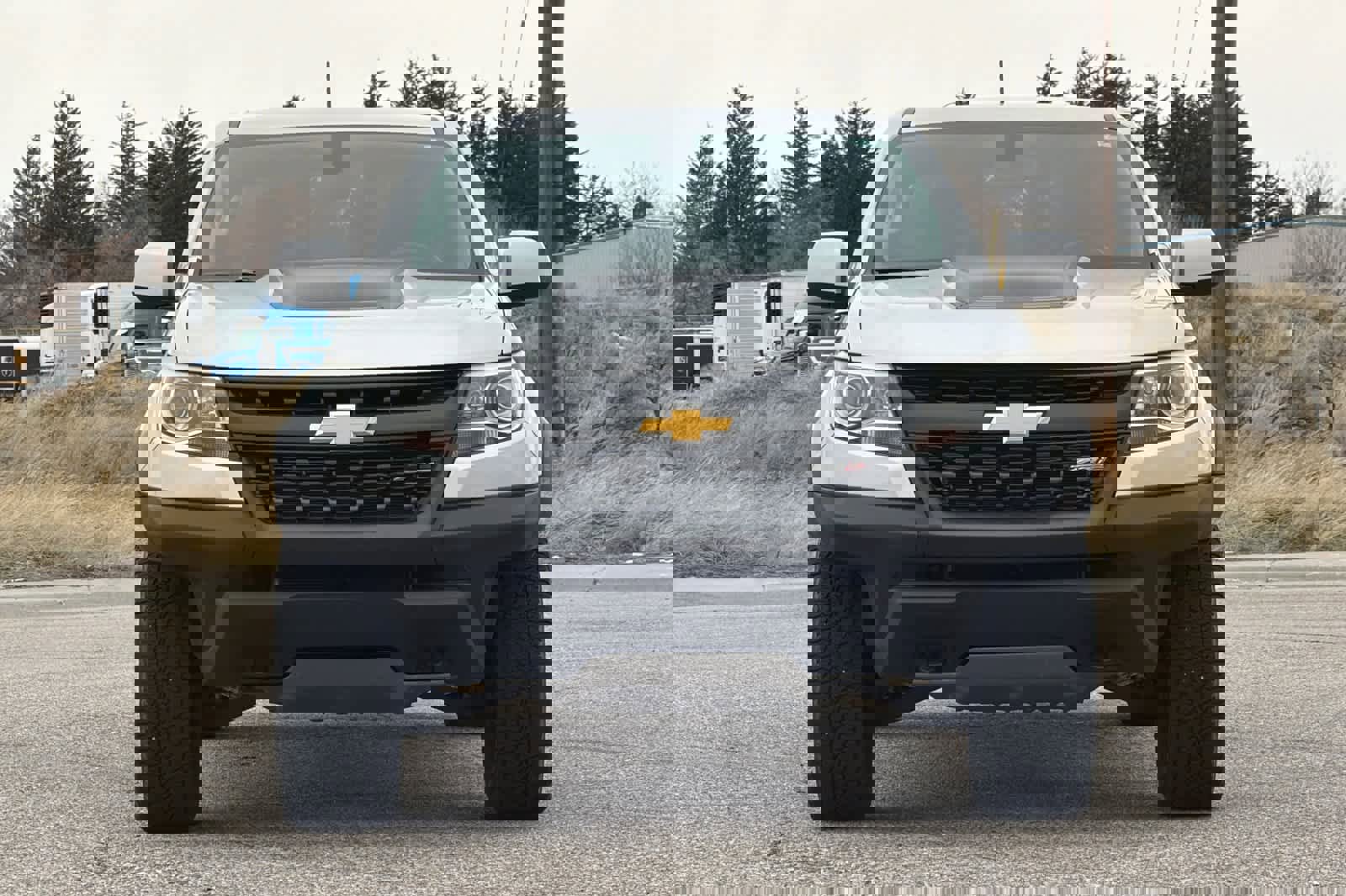 Used 2018 Chevrolet Colorado ZR2 image 10