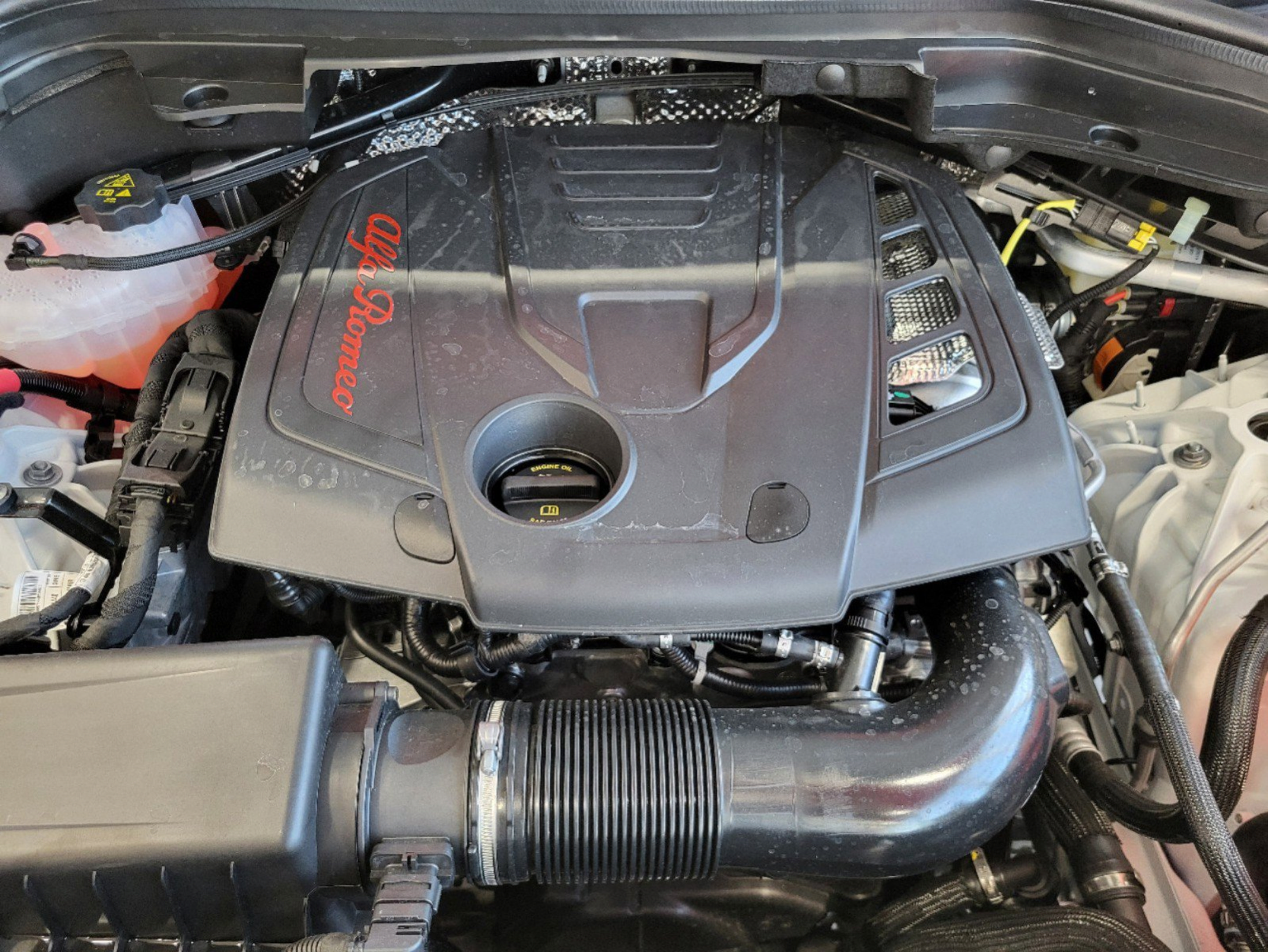New 2025 Alfa Romeo Stelvio Sprint AWD/4WD image 61