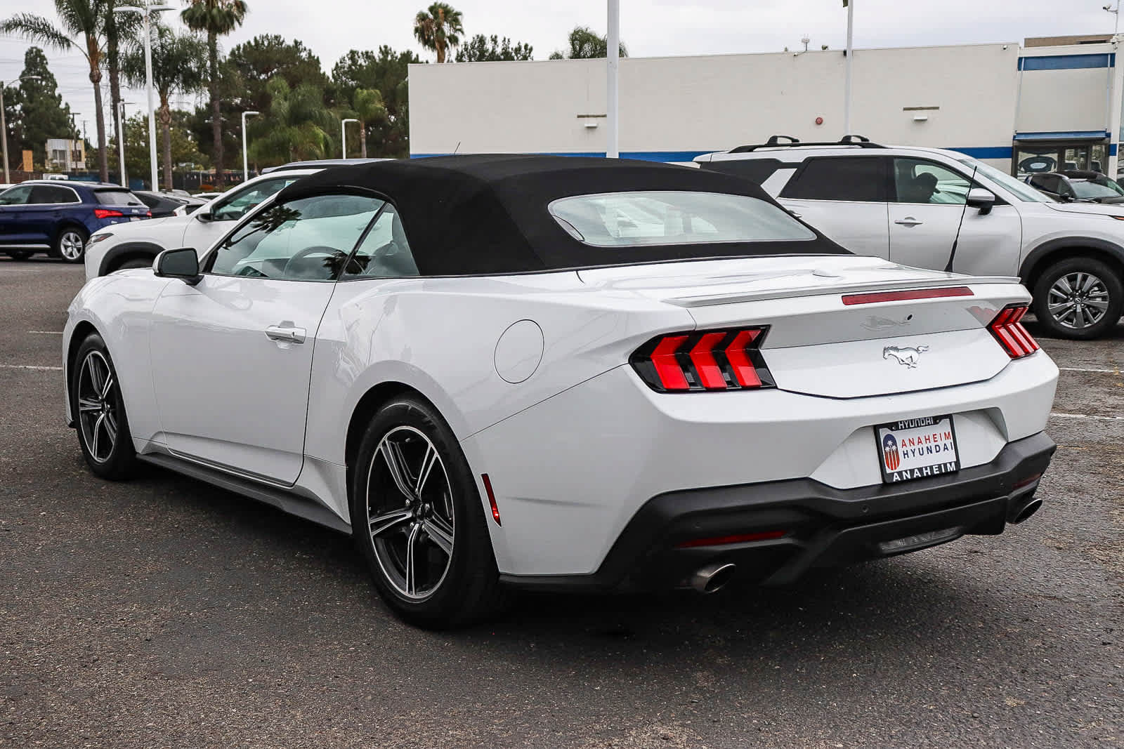 Used 2024 Ford Mustang Premium RWD image 9