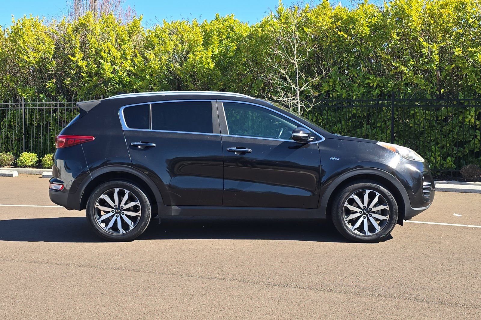 Used 2017 Kia Sportage EX w/ EX Premium Package image 3