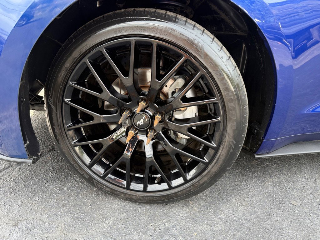 Used 2015 Ford Mustang Premium w/ Equipment Group 201A image 23