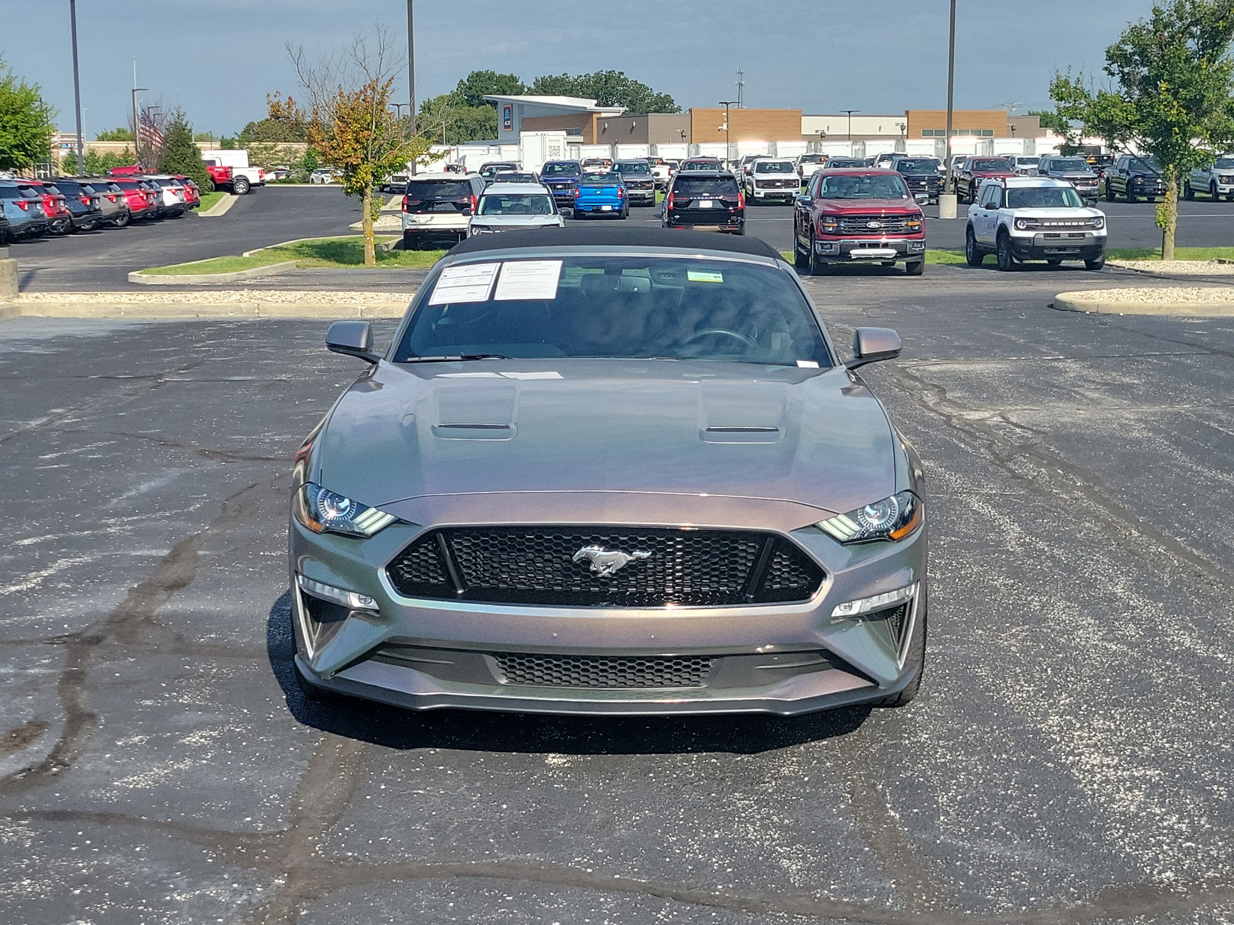 Used 2019 Ford Mustang GT Premium RWD image 6