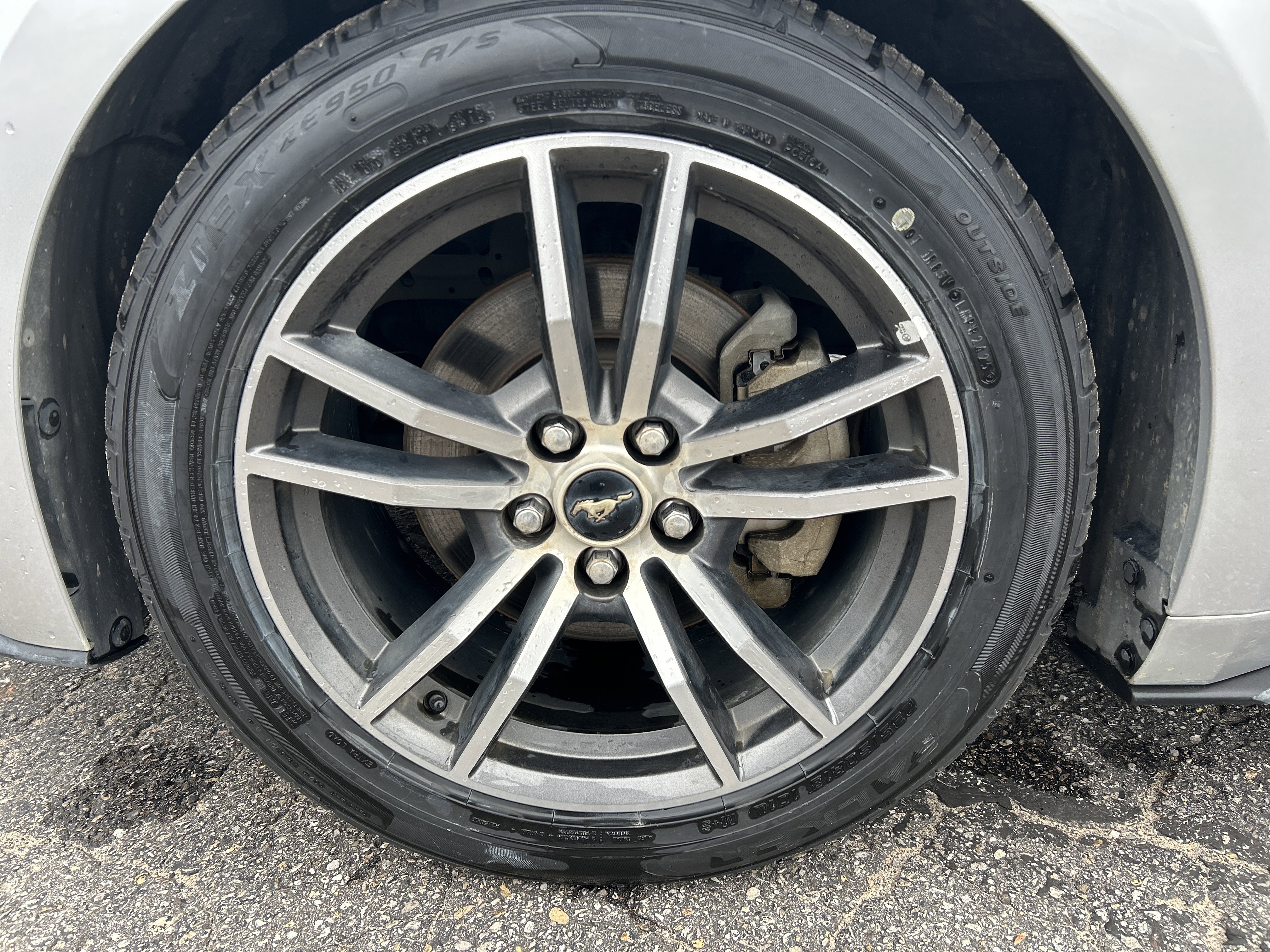 Used 2017 Ford Mustang Premium RWD image 38