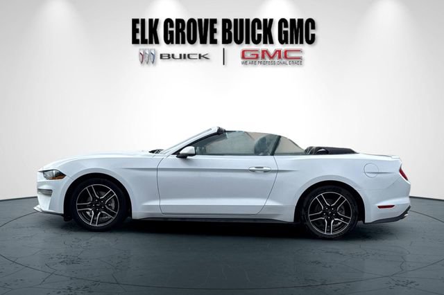 Used 2023 Ford Mustang Premium RWD image 7