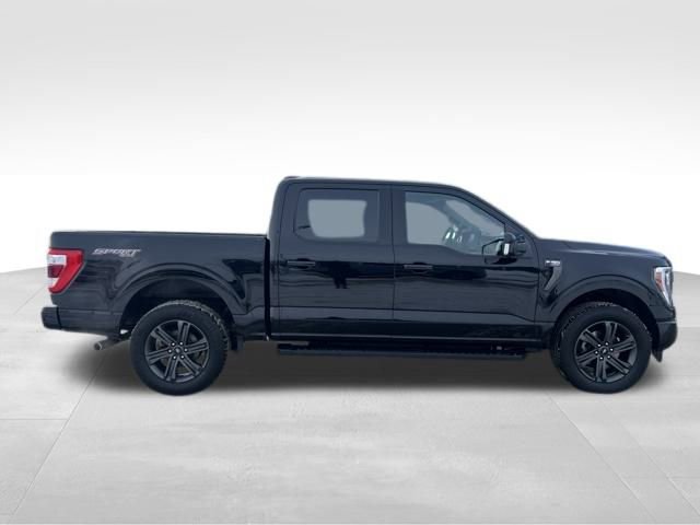 Used 2023 Ford F150 Lariat w/ Equipment Group 502A High image 10