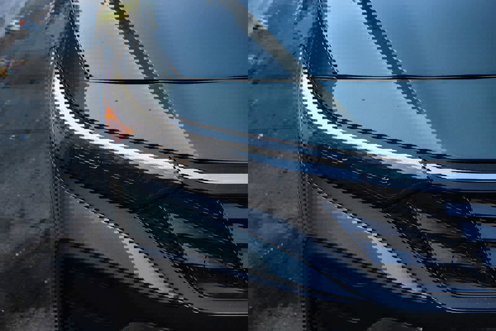 New 2025 Hyundai Elantra Sport image 10