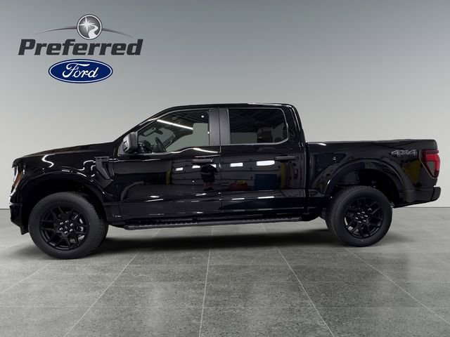 Used 2025 Ford F150 STX w/ STX Black Appearance Package image 3