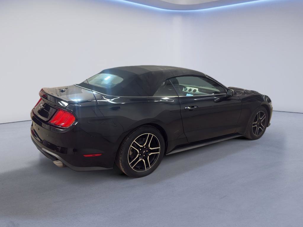 Used 2019 Ford Mustang Premium image 6