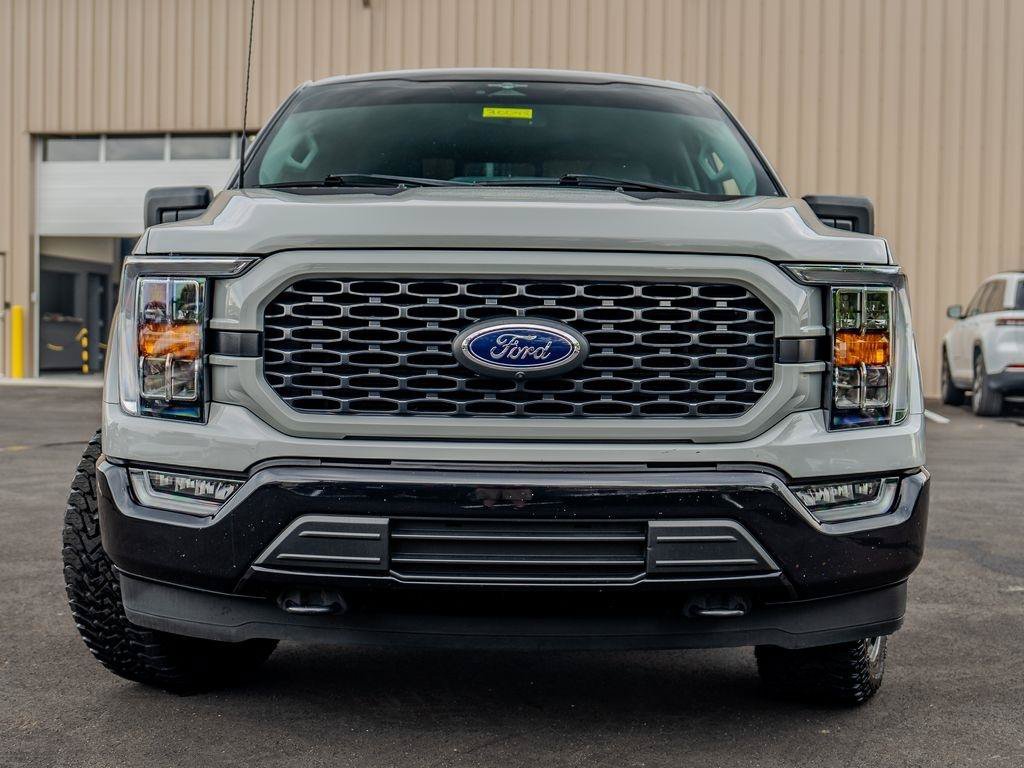 Used 2023 Ford F150 XLT w/ Equipment Group 302A High AWD/4WD image 6