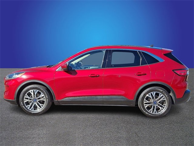 Used 2020 Ford Escape SEL image 7